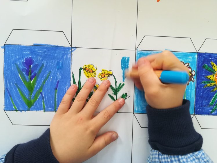 Dall’arte alle scienze: osservare la natura con bambini e bambine | Giunti Scuola