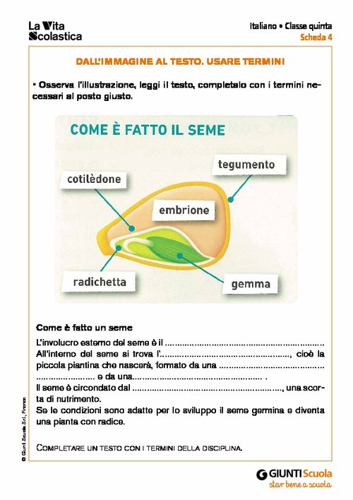 Dall’immagine al testo. Usare termini | Giunti Scuola Dall’immagine al testo. Usare termini | Giunti Scuola