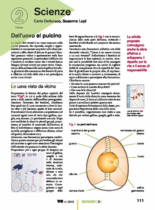 Dall’uovo al pulcino | Giunti Scuola Dall’uovo al pulcino | Giunti Scuola