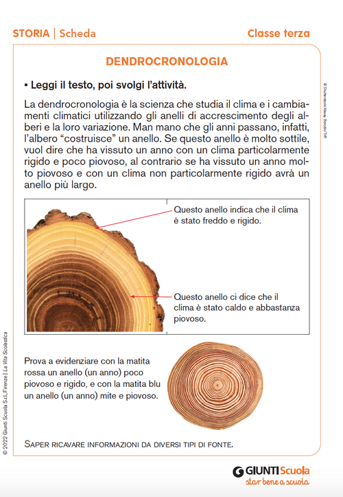 Dendrocronologia | Giunti Scuola