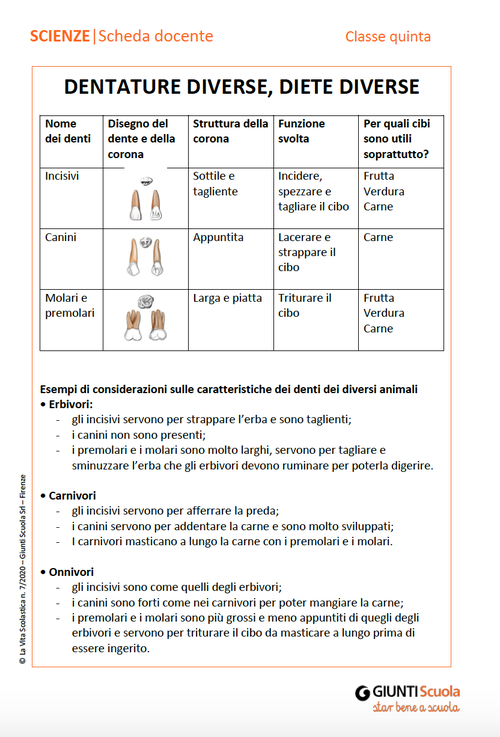 Dentature diverse, diete diverse | Giunti Scuola Dentature diverse, diete diverse | Giunti Scuola