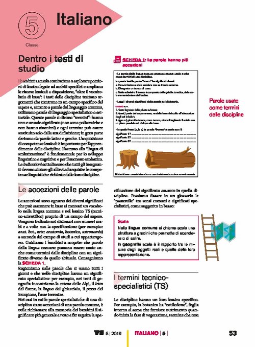 Dentro i testi di studio | Giunti Scuola Dentro i testi di studio | Giunti Scuola