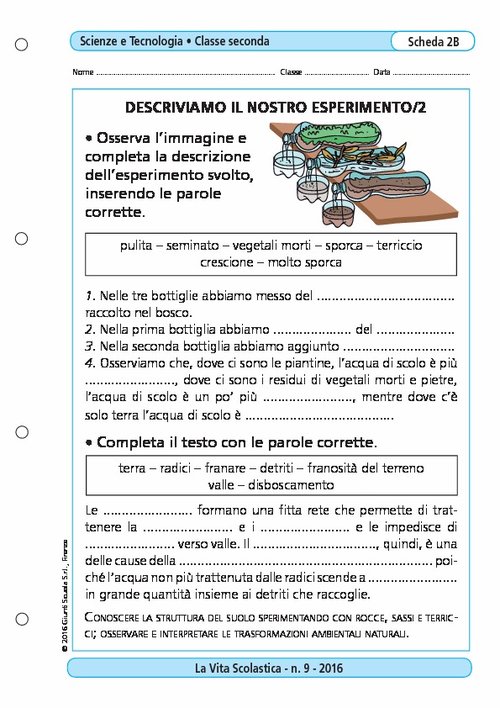 Descriviamo il nostro esperimento/2 | Giunti Scuola Descriviamo il nostro esperimento/2 | Giunti Scuola