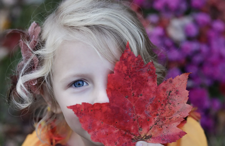 Didattica all'aperto: giocare con parole d'autunno | Giunti Scuola