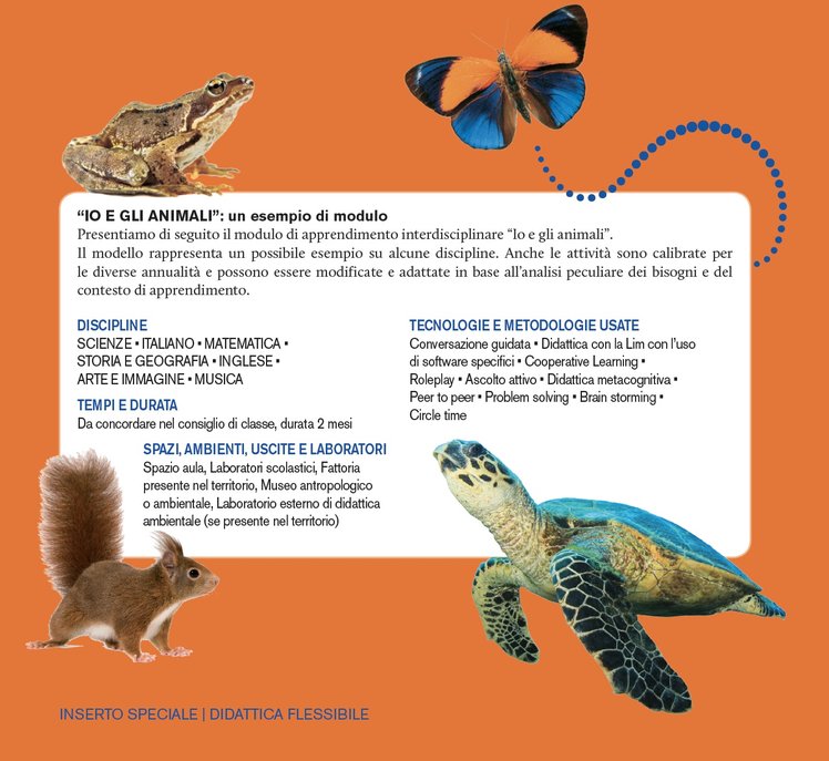 Didattica interdisciplinare: tre moduli di apprendimento per la didattica flessibile | Giunti Scuola