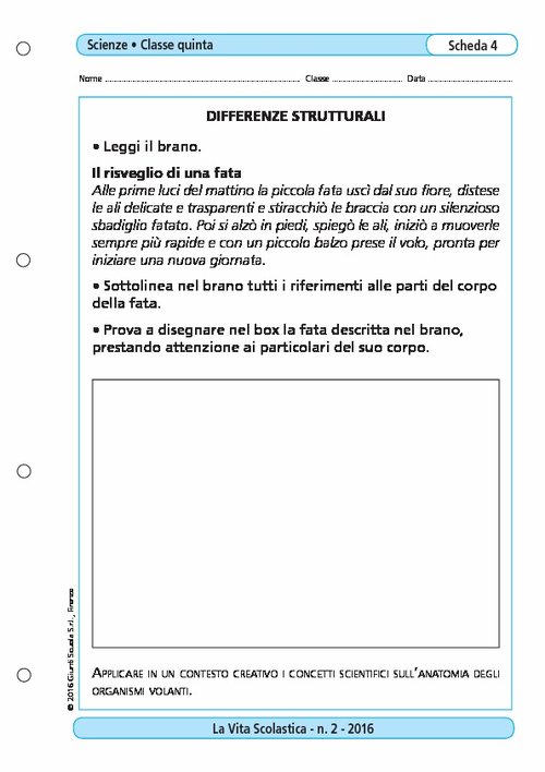 Differenze strutturali | Giunti Scuola Differenze strutturali | Giunti Scuola
