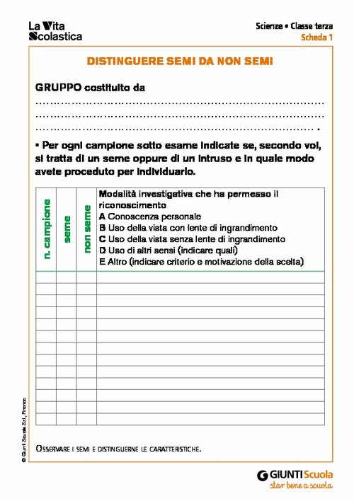 Distinguere semi da non semi | Giunti Scuola Distinguere semi da non semi | Giunti Scuola