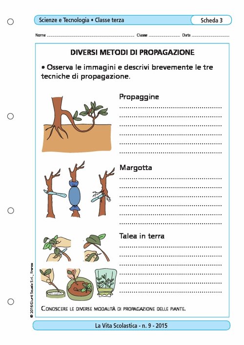 Diversi metodi di propagazione | Giunti Scuola