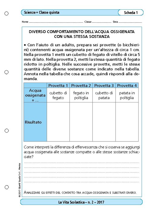 Diverso comportamento dell'acqua ossigenata con una stessa sostanza | Giunti Scuola Diverso comportamento dell'acqua ossigenata con una stessa sostanza | Giunti Scuola