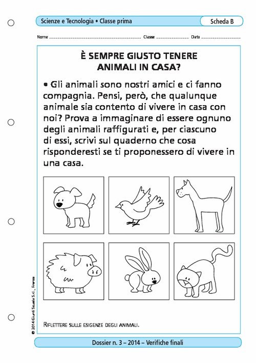 È sempre giusto tenere animali in casa? | Giunti Scuola È sempre giusto tenere animali in casa? | Giunti Scuola