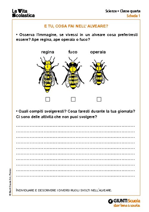 E tu, cosa fai nell’alveare? | Giunti Scuola E tu, cosa fai nell’alveare? | Giunti Scuola
