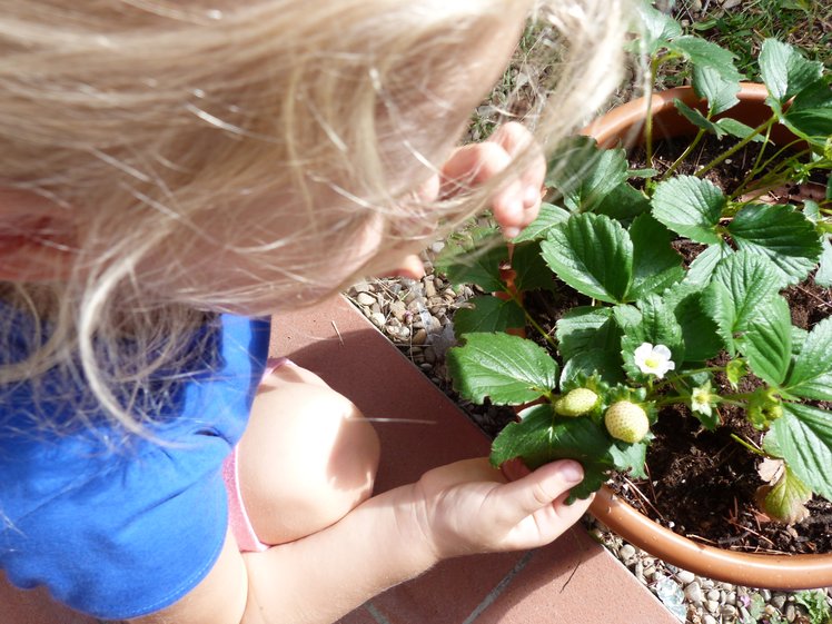 Educazione naturale in pratica | Giunti Scuola