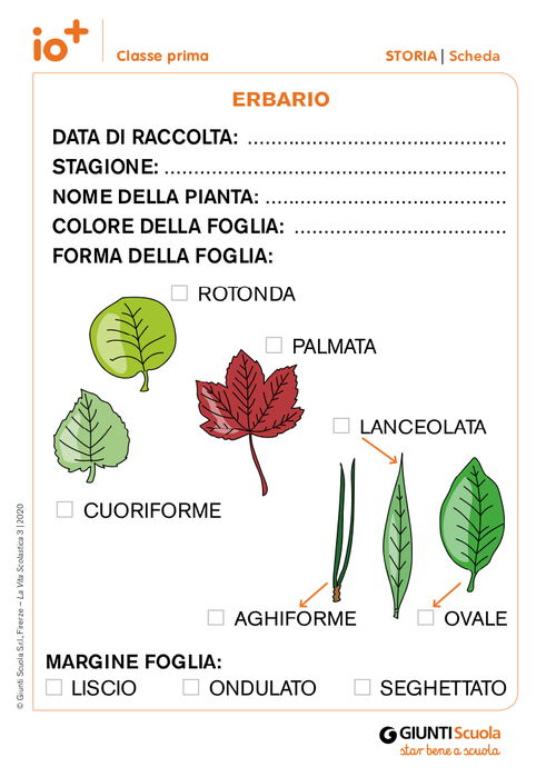 Erbario | Giunti Scuola Erbario | Giunti Scuola