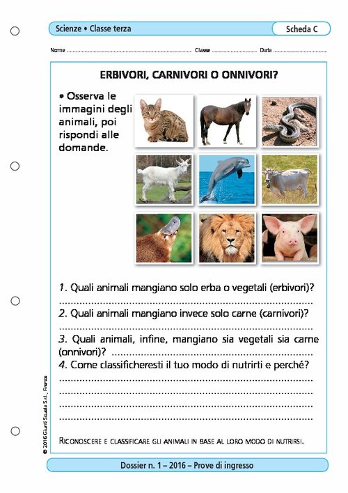 Erbivori, carnivori o onnivori? | Giunti Scuola