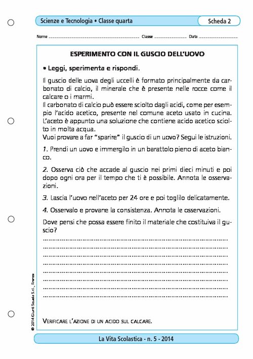 Esperimento con il guscio dell'uovo | Giunti Scuola Esperimento con il guscio dell'uovo | Giunti Scuola