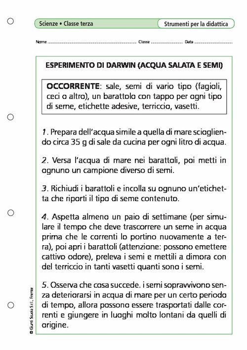 Esperimento di Darwin (acqua salata e semi) | Giunti Scuola Esperimento di Darwin (acqua salata e semi) | Giunti Scuola