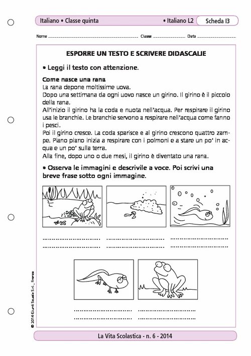 Esporre un testo e scrivere didascalie | Giunti Scuola Esporre un testo e scrivere didascalie | Giunti Scuola