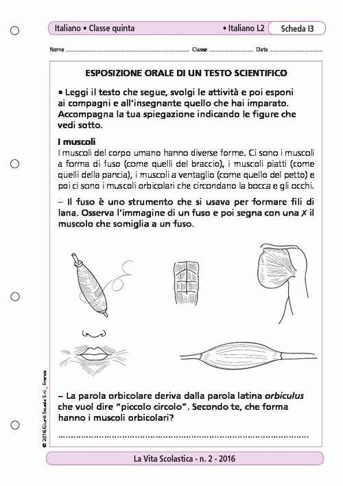 Esposizione orale di un testo scientifico | Giunti Scuola Esposizione orale di un testo scientifico | Giunti Scuola