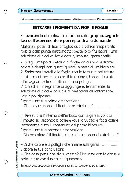 Estrarre i pigmenti da fiori e foglie | Giunti Scuola Estrarre i pigmenti da fiori e foglie | Giunti Scuola