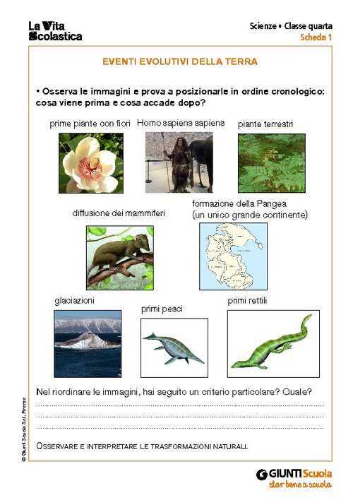 Eventi evolutivi della Terra | Giunti Scuola