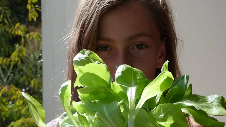 Facciamo un orto a scuola? 10 domande e risposte per cominciare | Giunti Scuola Facciamo un orto a scuola? 10 domande e risposte per cominciare | Giunti Scuola