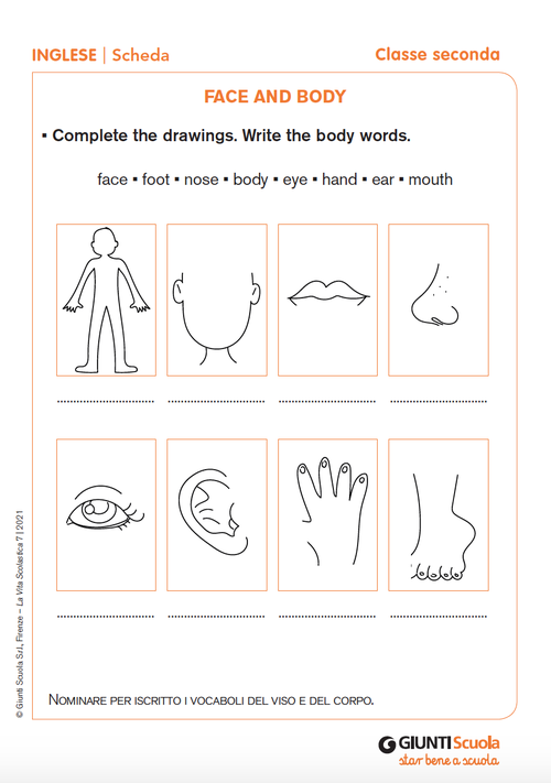 Face and body | Giunti Scuola Face and body | Giunti Scuola