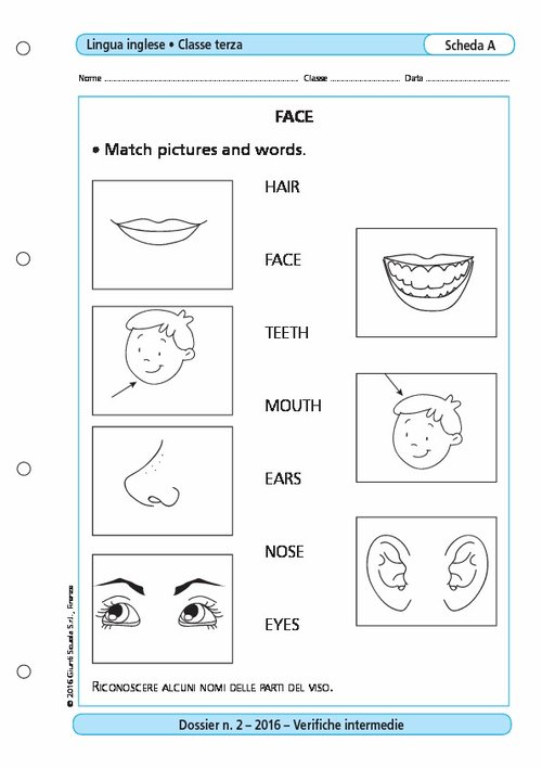 Face | Giunti Scuola Face | Giunti Scuola