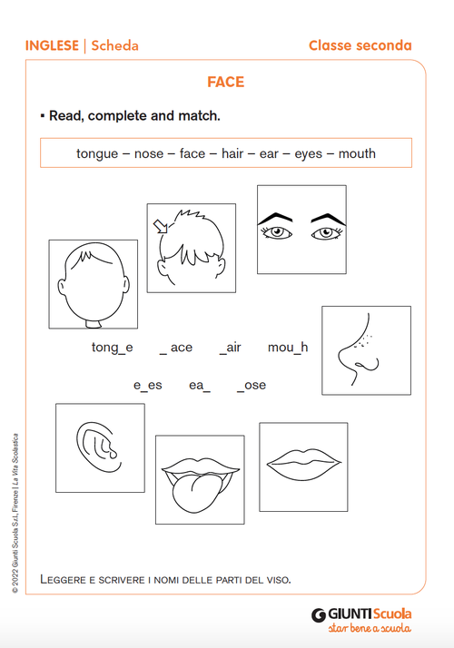 Face | Giunti Scuola Face | Giunti Scuola