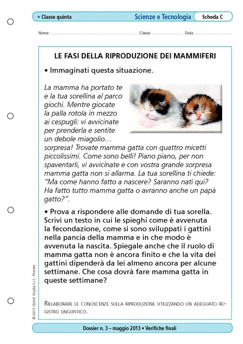 Fasi della riproduzione dei mammiferi | Giunti Scuola Fasi della riproduzione dei mammiferi | Giunti Scuola
