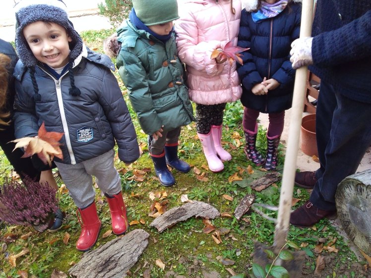 Festeggiare gli alberi a scuola: un'esperienza | Giunti Scuola
