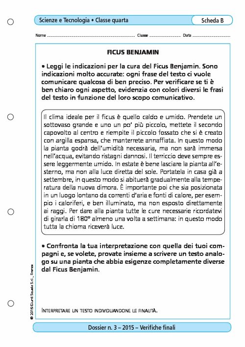 Ficus benjamin | Giunti Scuola Ficus benjamin | Giunti Scuola