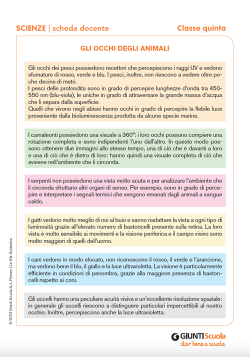 Gli occhi degli animali | Giunti Scuola