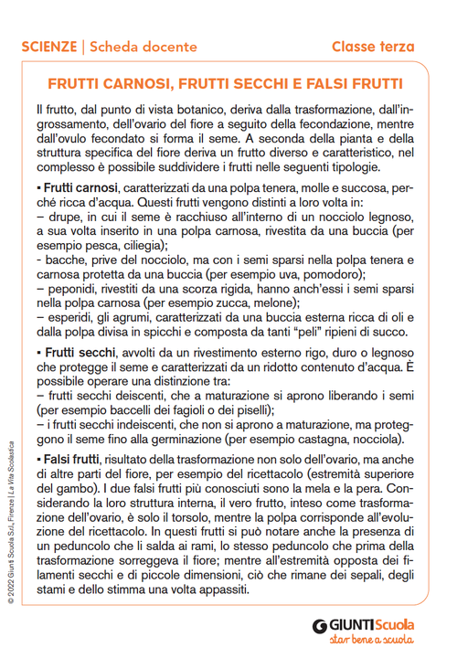 Frutti carnosi, frutti secchi e falsi frutti | Giunti Scuola Frutti carnosi, frutti secchi e falsi frutti | Giunti Scuola