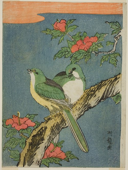 Isoda Koryusai - Two Birds on Hibiscus Tree | Giunti Scuola Isoda Koryusai - Two Birds on Hibiscus Tree | Giunti Scuola