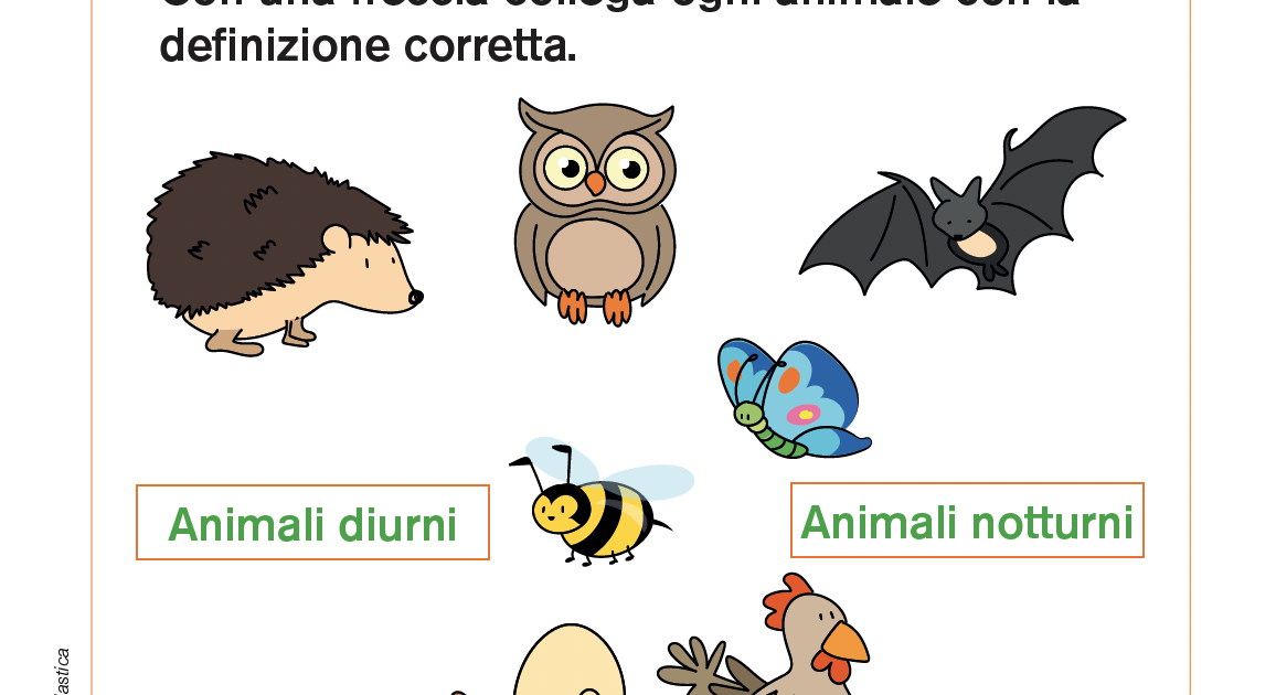 Animali e abitudini di sonno | Giunti Scuola