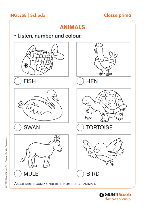 Animals | Giunti Scuola Animals | Giunti Scuola