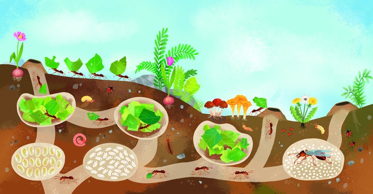 Star bene a scuola | Pedagogia e Didattica | Giunti Scuola