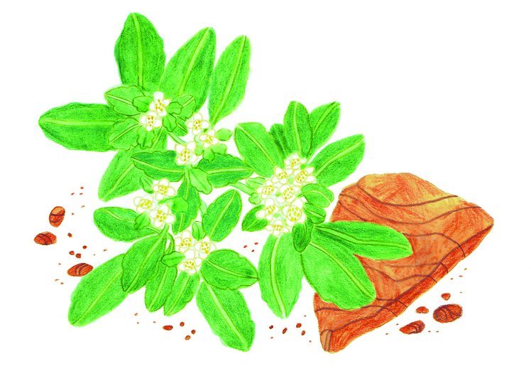 Emozioni in Storia | Giunti Scuola