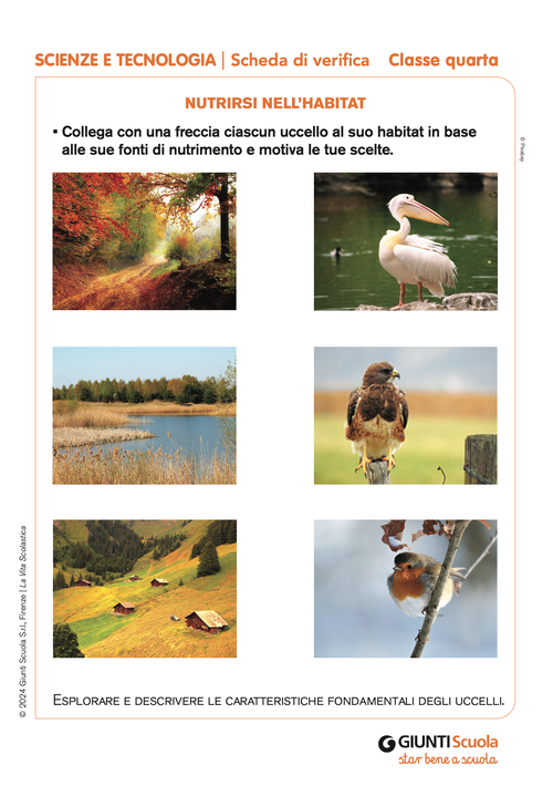 Nutrirsi nell’habitat | Giunti Scuola
