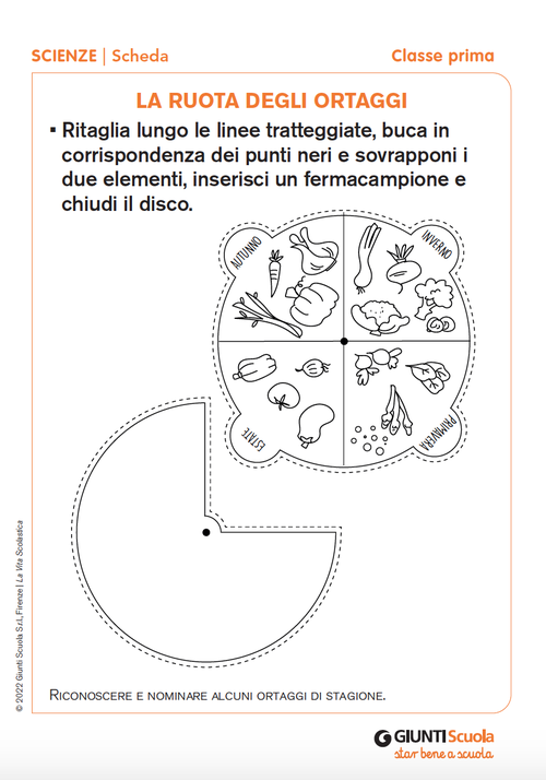 La ruota degli ortaggi | Giunti Scuola La ruota degli ortaggi | Giunti Scuola