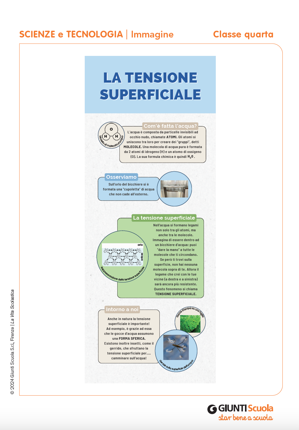 La tensione superficiale | Giunti Scuola