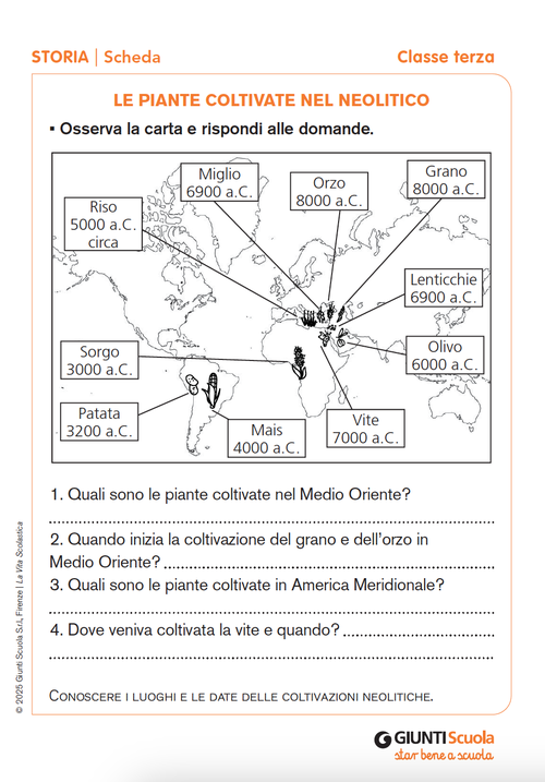 Le piante coltivate nel Neolitico | Giunti Scuola Le piante coltivate nel Neolitico | Giunti Scuola