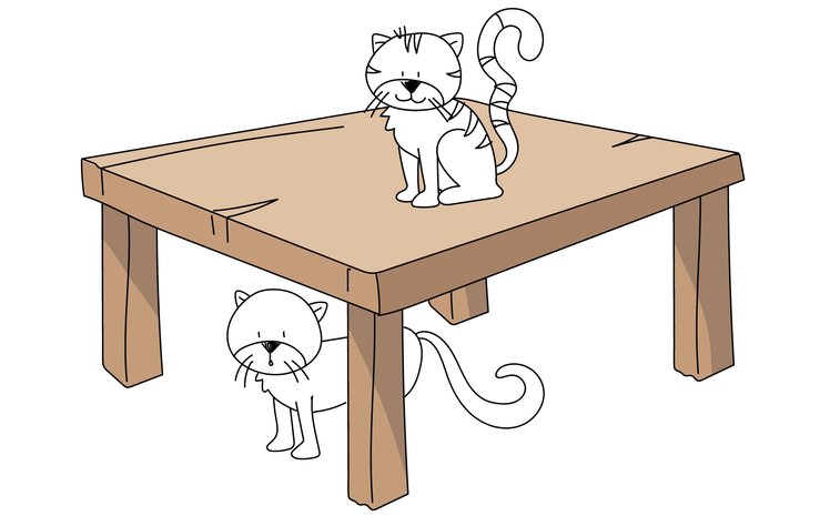 Comprendere e usare gli indicatori spaziali | Giunti Scuola