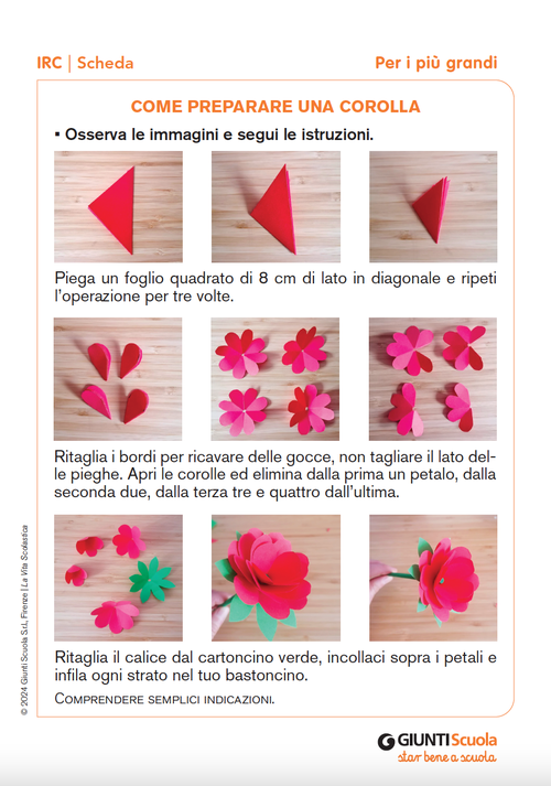 Come preparare una corolla | Giunti Scuola Come preparare una corolla | Giunti Scuola