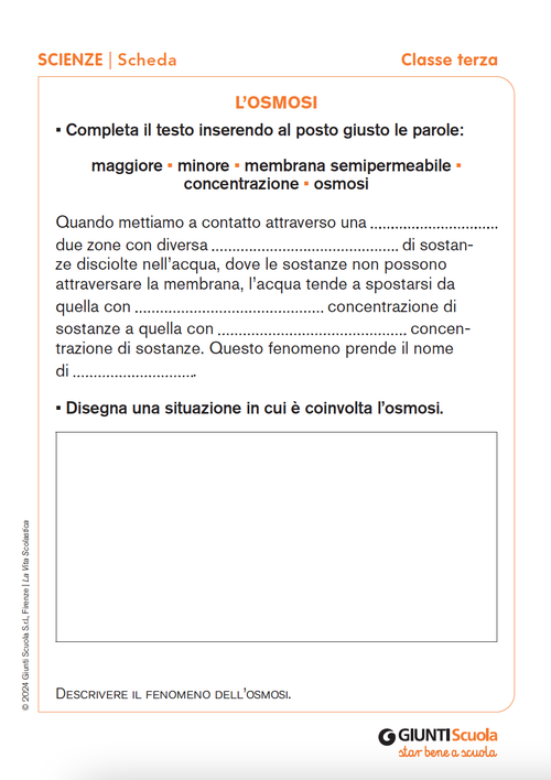 L’osmosi | Giunti Scuola L’osmosi | Giunti Scuola