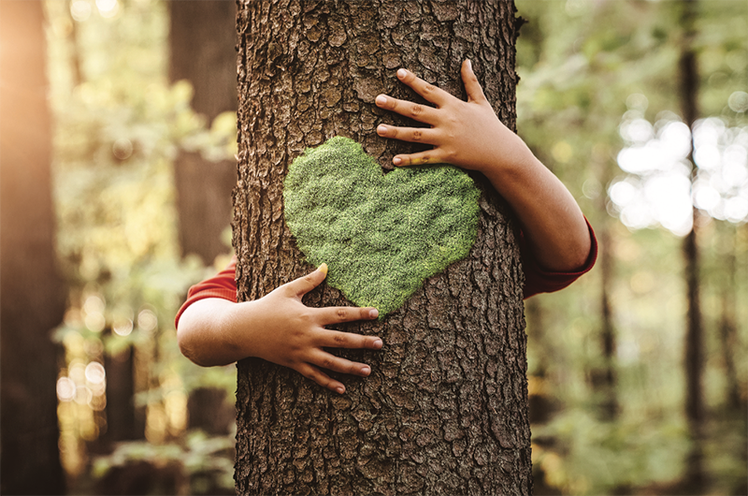 Idee per spazi ed esperienze ecologiche | Giunti Scuola