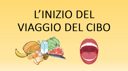 L’inizio del viaggio del cibo | Giunti Scuola L’inizio del viaggio del cibo | Giunti Scuola