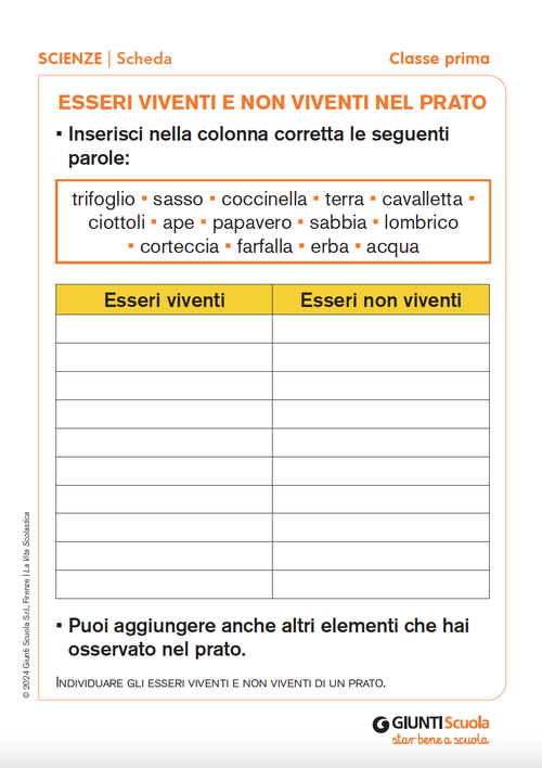 Esseri viventi e non viventi nel prato | Giunti Scuola Esseri viventi e non viventi nel prato | Giunti Scuola
