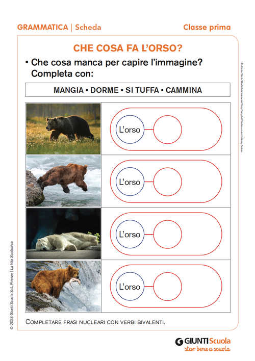 Che cosa fa l'orso? | Giunti Scuola Che cosa fa l'orso? | Giunti Scuola