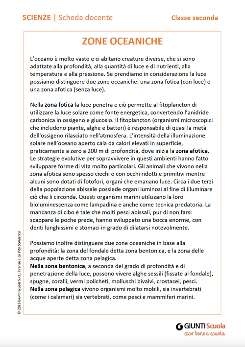Zone oceaniche | Giunti Scuola Zone oceaniche | Giunti Scuola
